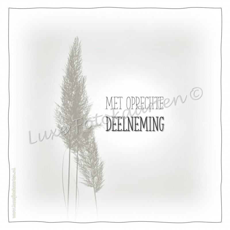 Oprechte Deelneming - aar